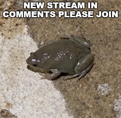 fog | NEW STREAM IN COMMENTS PLEASE JOIN | image tagged in fog | made w/ Imgflip meme maker