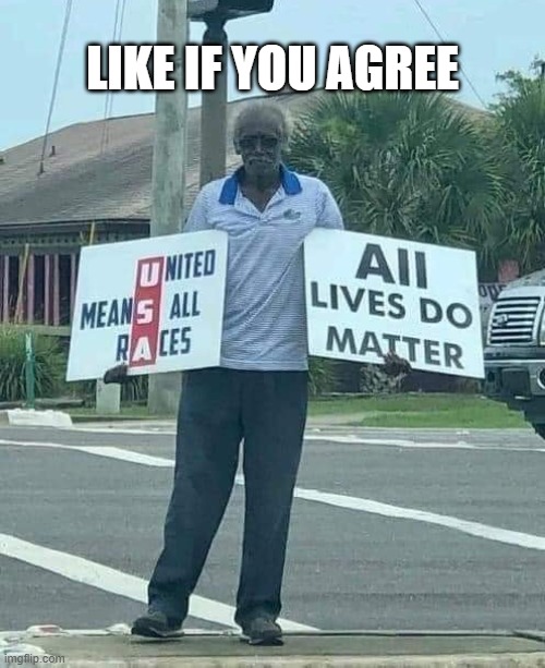 all lives matter am i right | LIKE IF YOU AGREE | image tagged in what grandpa says all lives matter,boomer | made w/ Imgflip meme maker