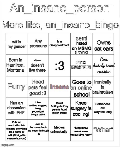 an insane bingo (April 2025) | image tagged in an insane bingo april 2025 | made w/ Imgflip meme maker