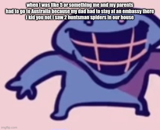 they were chill ngl | when I was like 5 or something me and my parents had to go to Australia because my dad had to stay at an embassy there
I kid you not I saw 2 huntsman spiders in our house | image tagged in dud | made w/ Imgflip meme maker