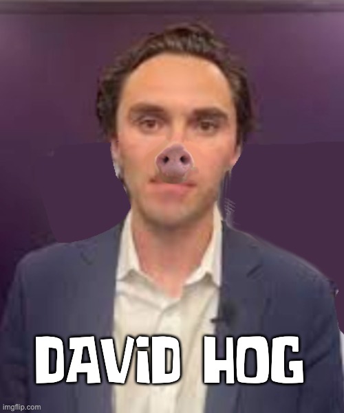Poster Child of the Left | DAVID HOG | image tagged in hogg,dnc,democrats | made w/ Imgflip meme maker