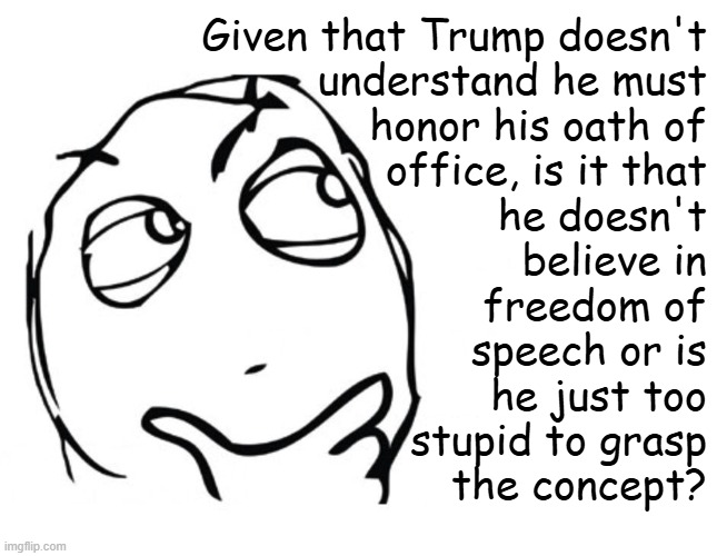 hmmm | Given that Trump doesn't
understand he must
honor his oath of
office, is it that
he doesn't
believe in
freedom of
speech or is
he just too
s | image tagged in hmmm | made w/ Imgflip meme maker