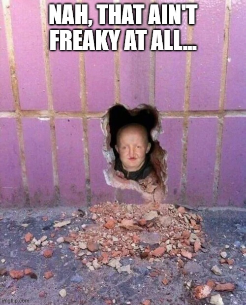 Hole in the Wall | NAH, THAT AIN'T FREAKY AT ALL... | image tagged in cursed image | made w/ Imgflip meme maker