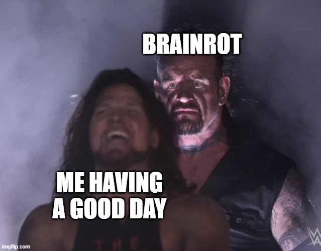 undertaker | BRAINROT; ME HAVING A GOOD DAY | image tagged in undertaker | made w/ Imgflip meme maker
