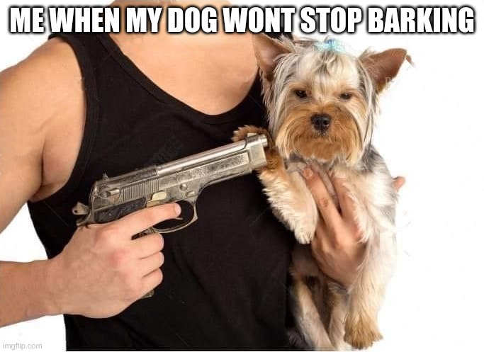 dog hostage | ME WHEN MY DOG WONT STOP BARKING | image tagged in dog hostage | made w/ Imgflip meme maker
