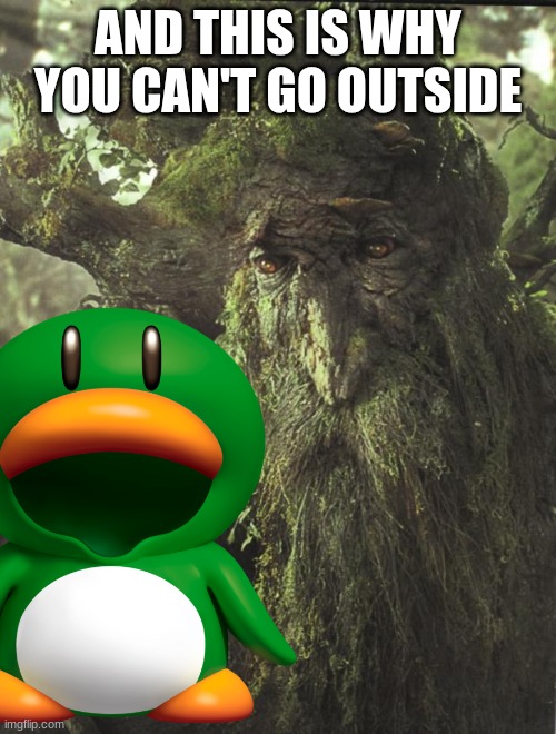 Season 1 Episode 2 | AND THIS IS WHY YOU CAN'T GO OUTSIDE | image tagged in tree beard,captain | made w/ Imgflip meme maker