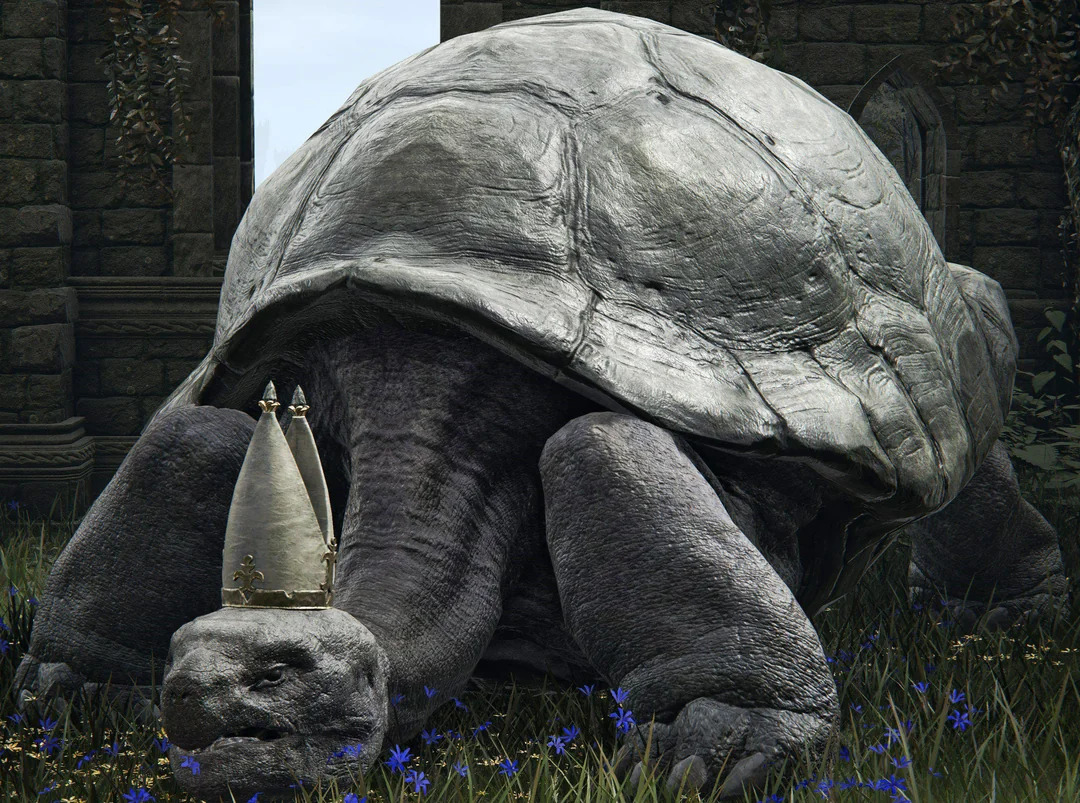 turtle pope miriel Blank Meme Template