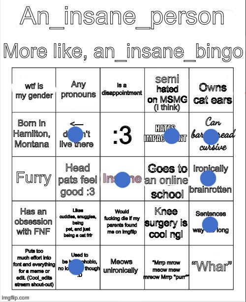 an insane bingo april 2025 | image tagged in an insane bingo april 2025 | made w/ Imgflip meme maker