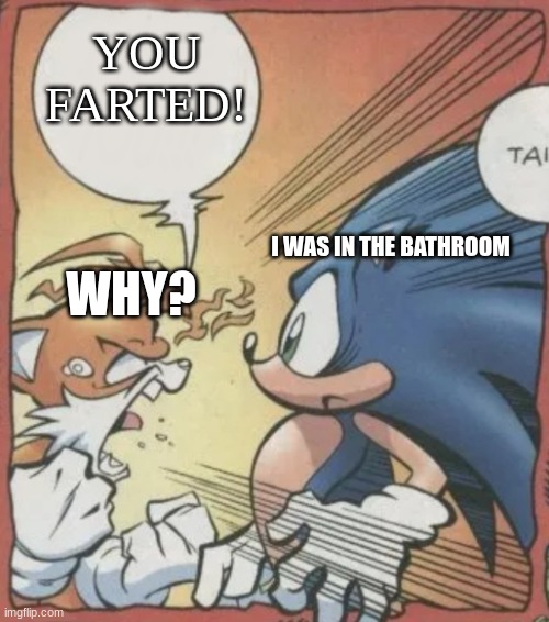 Tails Yelling At Sonic | YOU FARTED! I WAS IN THE BATHROOM; WHY? | image tagged in tails yelling at sonic | made w/ Imgflip meme maker