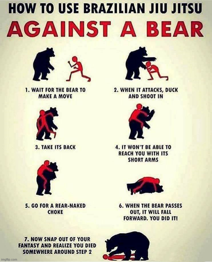 How to fight a bear | image tagged in repost | made w/ Imgflip meme maker