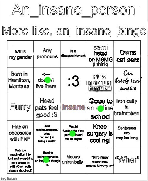 an insane bingo (April 2025) | if capitalized | image tagged in an insane bingo april 2025 | made w/ Imgflip meme maker