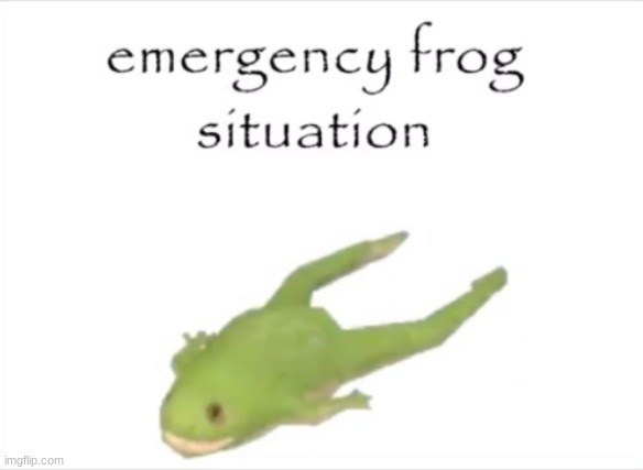 EMERGENCY FROG SITUATIONNNNNNNNNN | image tagged in frog | made w/ Imgflip meme maker