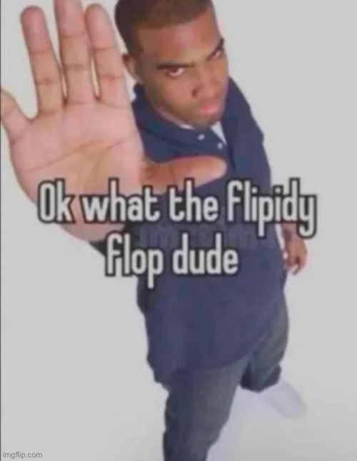 Flip Glop | image tagged in flip glop | made w/ Imgflip meme maker