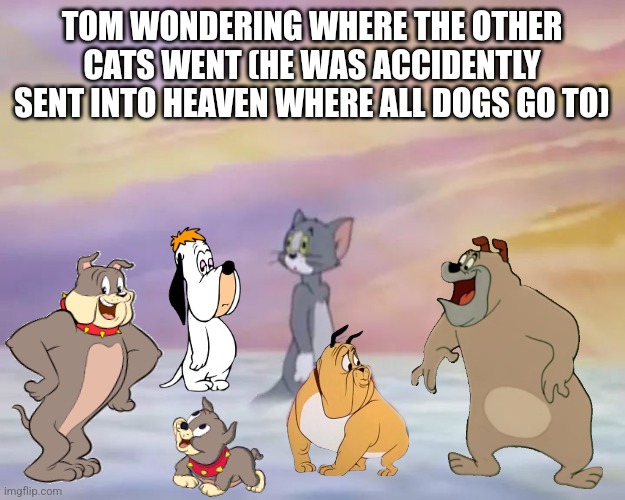 Tom in Heaven | TOM WONDERING WHERE THE OTHER CATS WENT (HE WAS ACCIDENTLY SENT INTO HEAVEN WHERE ALL DOGS GO TO) | image tagged in memes,doggo,heaven | made w/ Imgflip meme maker