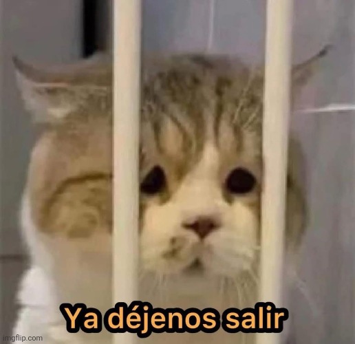 Salir | image tagged in memes | made w/ Imgflip meme maker