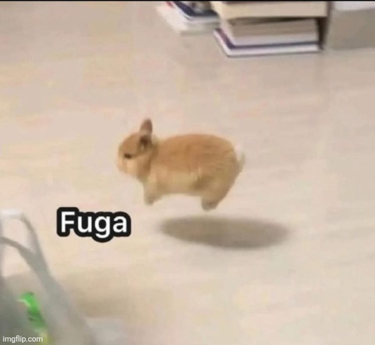 Fuga | image tagged in memes | made w/ Imgflip meme maker