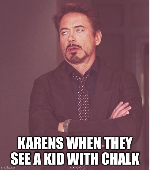 Face You Make Robert Downey Jr Meme | KARENS WHEN THEY SEE A KID WITH CHALK | image tagged in memes,face you make robert downey jr | made w/ Imgflip meme maker