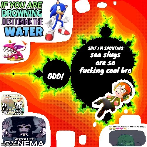 Odd Mandelbrot announcement template mii version | sea slugs are so fucking cool bro | image tagged in odd mandelbrot announcement template mii version | made w/ Imgflip meme maker