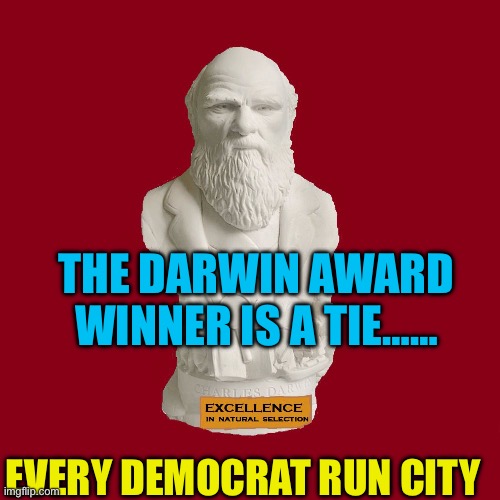 Every Democrat City making the same mistake, can’t be a coincidence | THE DARWIN AWARD WINNER IS A TIE……; EVERY DEMOCRAT RUN CITY | image tagged in the charles darwin award,democrat,failure,city,mayor,incompetence | made w/ Imgflip meme maker