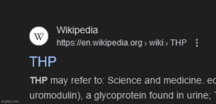 ms memre gropu | image tagged in thp wikipedia | made w/ Imgflip meme maker