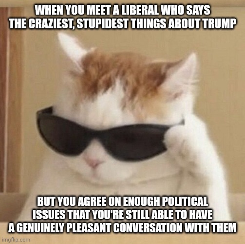 This has happened to me more than once, and it feels super good | WHEN YOU MEET A LIBERAL WHO SAYS THE CRAZIEST, STUPIDEST THINGS ABOUT TRUMP; BUT YOU AGREE ON ENOUGH POLITICAL ISSUES THAT YOU'RE STILL ABLE TO HAVE A GENUINELY PLEASANT CONVERSATION WITH THEM | image tagged in cool cat | made w/ Imgflip meme maker