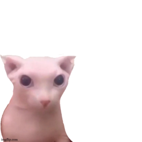 bingus | image tagged in bingus | made w/ Imgflip meme maker