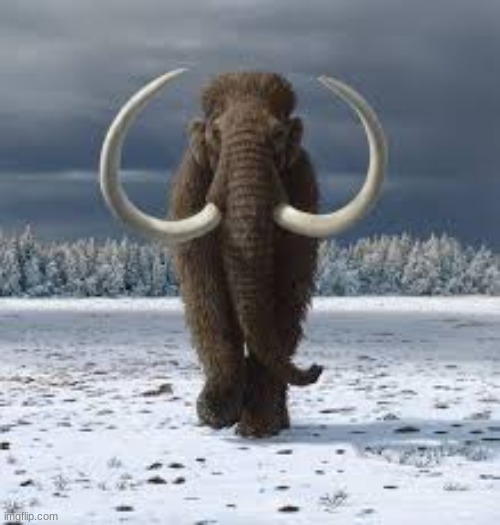 Mammoth Again | image tagged in mammoth again | made w/ Imgflip meme maker
