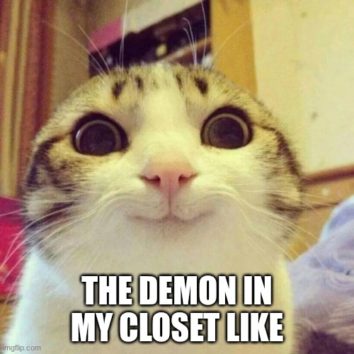 the demon in my closet like | THE DEMON IN MY CLOSET LIKE | image tagged in memes,smiling cat | made w/ Imgflip meme maker