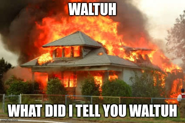the aftermath | WALTUH; WHAT DID I TELL YOU WALTUH | image tagged in burnin' house | made w/ Imgflip meme maker