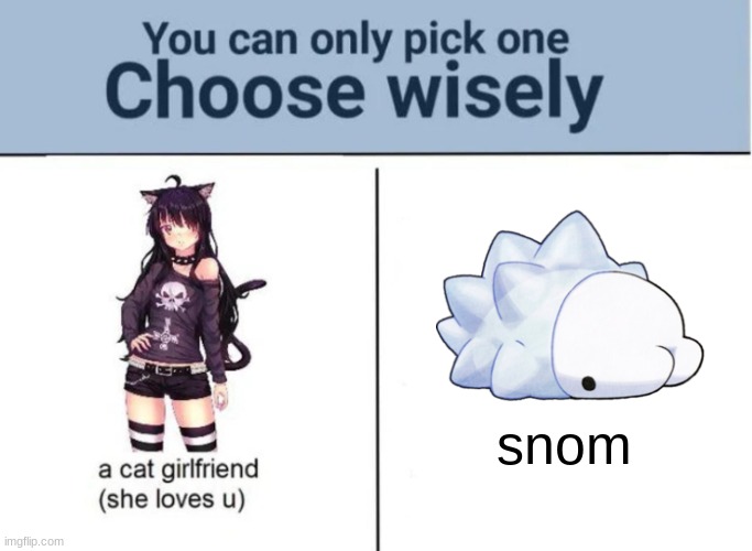 ​ | snom | image tagged in choose wisely | made w/ Imgflip meme maker