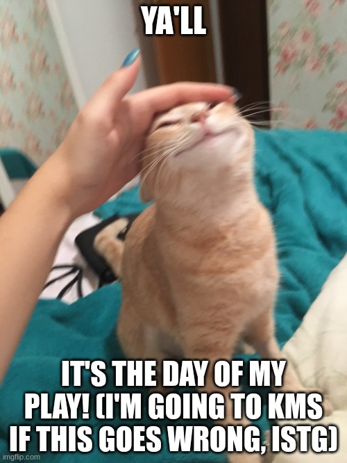:3 (Kill me) | YA'LL; IT'S THE DAY OF MY PLAY! (I'M GOING TO KMS IF THIS GOES WRONG, ISTG) | image tagged in cat pat | made w/ Imgflip meme maker