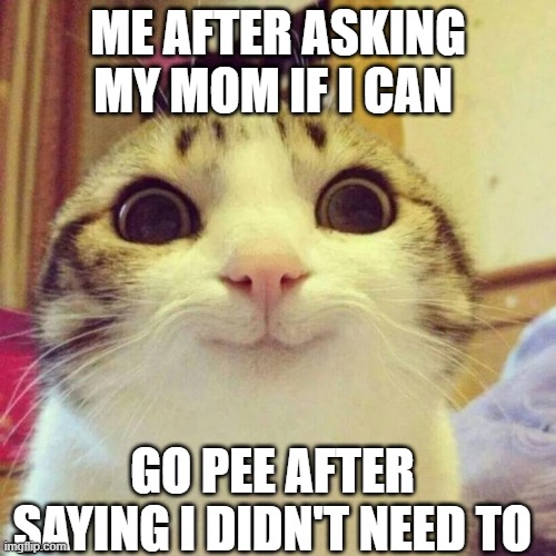 Smiling Cat Meme | ME AFTER ASKING MY MOM IF I CAN; GO PEE AFTER SAYING I DIDN'T NEED TO | image tagged in memes,smiling cat | made w/ Imgflip meme maker