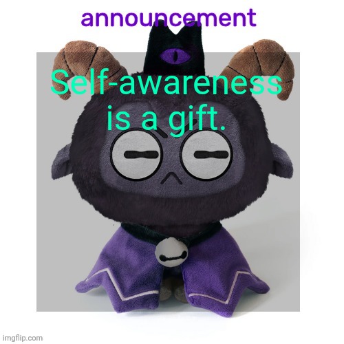 ermmmm ummmm idkkkk | Self-awareness is a gift. | image tagged in ermmmm ummmm idkkkk | made w/ Imgflip meme maker