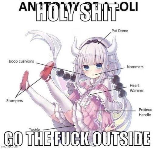 Let it be clear that “Lolis” are once of the main reasons I have little faith in humanity | made w/ Imgflip meme maker