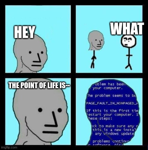 NPC ERROR | WHAT; HEY; THE POINT OF LIFE IS-- | image tagged in npc error | made w/ Imgflip meme maker