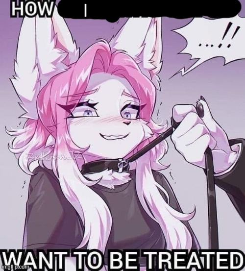 how girls that use :3 want to be treated blank | I | image tagged in how girls that use 3 want to be treated blank | made w/ Imgflip meme maker