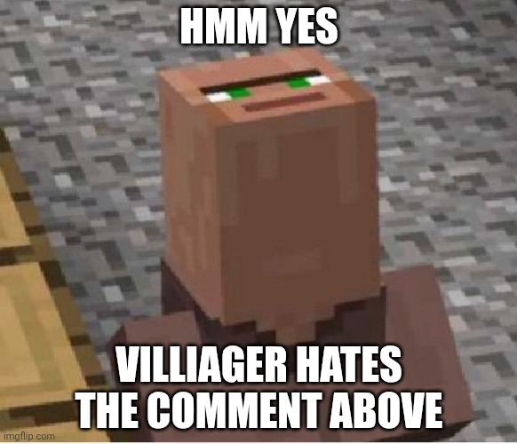 Minecraft Villager Looking Up | HMM YES VILLIAGER HATES THE COMMENT ABOVE | image tagged in minecraft villager looking up | made w/ Imgflip meme maker