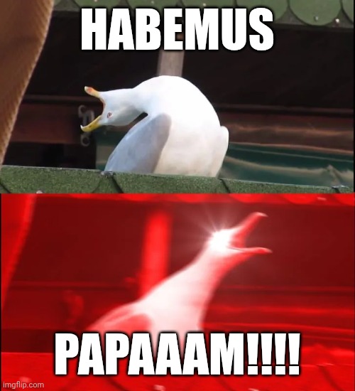 New pope | HABEMUS; PAPAAAM!!!! | image tagged in pope,catholic,vatican,funny,religious,christianity | made w/ Imgflip meme maker