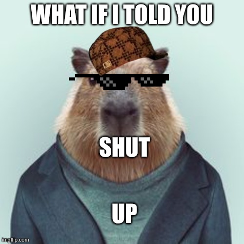 What If I Told You Capybara | WHAT IF I TOLD YOU; SHUT; UP | image tagged in what if i told you capybara | made w/ Imgflip meme maker