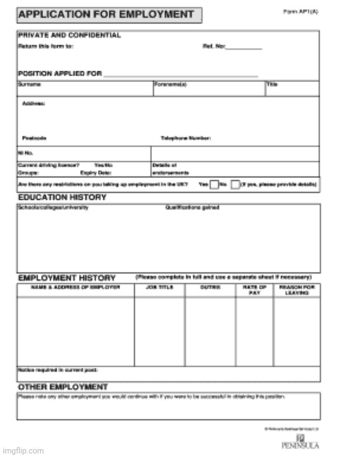 Jumpscare | image tagged in blank job application | made w/ Imgflip meme maker
