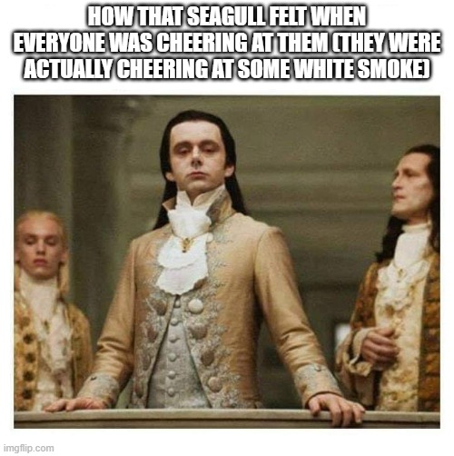 pope birb | HOW THAT SEAGULL FELT WHEN EVERYONE WAS CHEERING AT THEM (THEY WERE ACTUALLY CHEERING AT SOME WHITE SMOKE) | image tagged in aristocracy,pope,funny,memes,birb | made w/ Imgflip meme maker