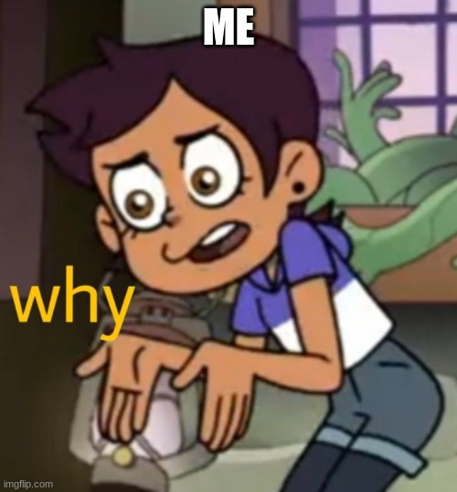 Why | ME | image tagged in why | made w/ Imgflip meme maker