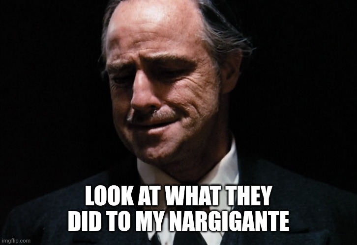 Godfather | LOOK AT WHAT THEY DID TO MY NARGIGANTE | image tagged in godfather | made w/ Imgflip meme maker