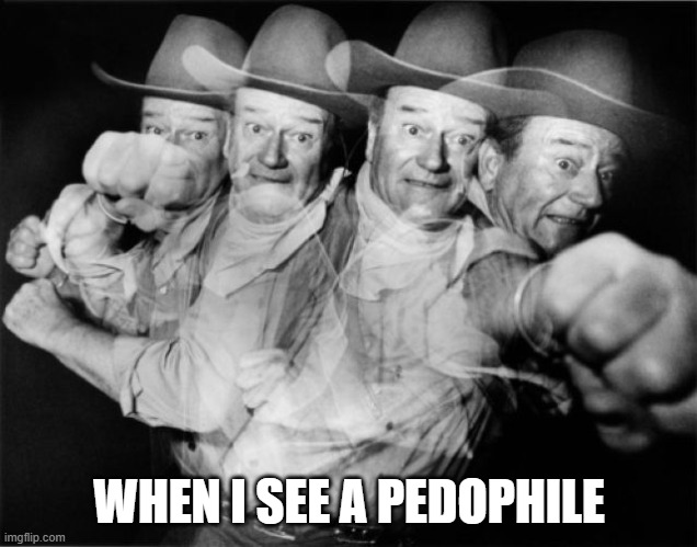 punch | WHEN I SEE A PEDOPHILE | image tagged in punch | made w/ Imgflip meme maker