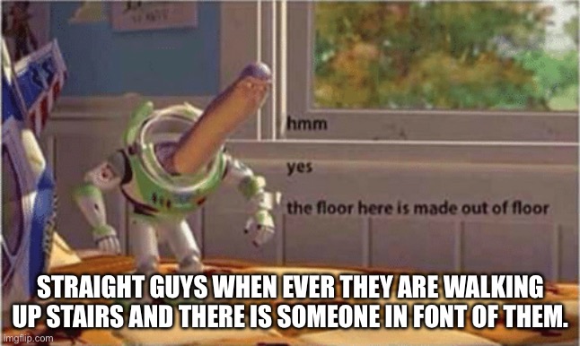 hmm yes the floor here is made out of floor | STRAIGHT GUYS WHEN EVER THEY ARE WALKING UP STAIRS AND THERE IS SOMEONE IN FONT OF THEM. | image tagged in hmm yes the floor here is made out of floor | made w/ Imgflip meme maker