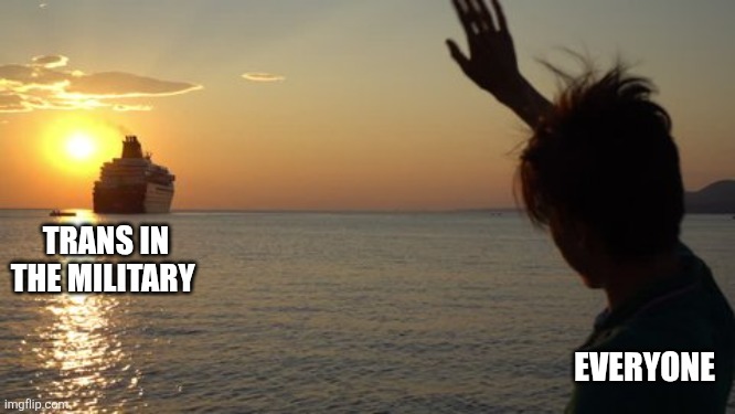 TRANS IN THE MILITARY; EVERYONE | image tagged in funny memes | made w/ Imgflip meme maker