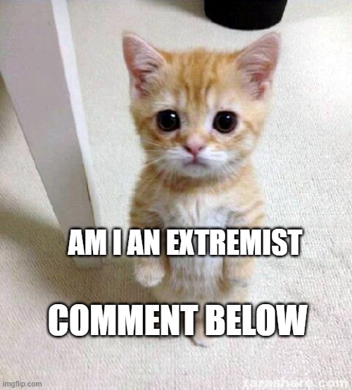template image is unrelated to question | AM I AN EXTREMIST; COMMENT BELOW | image tagged in memes,cute cat,comments,kitten | made w/ Imgflip meme maker