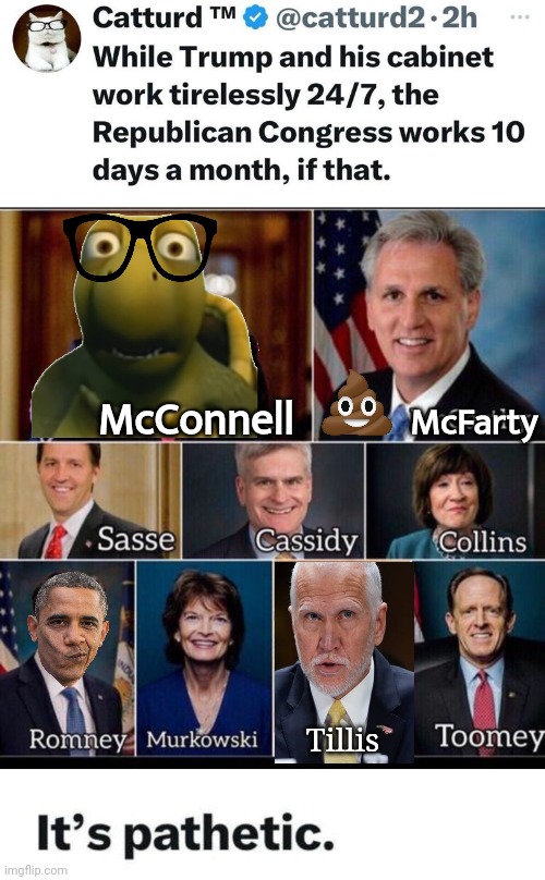 Lazy RINOs | McConnell; McFarty; Tillis | image tagged in rinos fake republicans,turtle | made w/ Imgflip meme maker