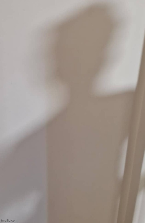 Here's a shitty shadow reveal of me that no one asked for | image tagged in shadow | made w/ Imgflip meme maker