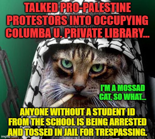 Sarcastic Terrorist Cat | TALKED PRO-PALESTINE PROTESTORS INTO OCCUPYING COLUMBA U. PRIVATE LIBRARY... I'M A MOSSAD CAT, SO WHAT... ANYONE WITHOUT A STUDENT ID FROM THE SCHOOL IS BEING ARRESTED AND TOSSED IN JAIL FOR TRESPASSING. | image tagged in sarcastic terrorist cat | made w/ Imgflip meme maker